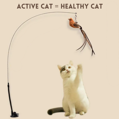 Cat Stalk & Play Stick