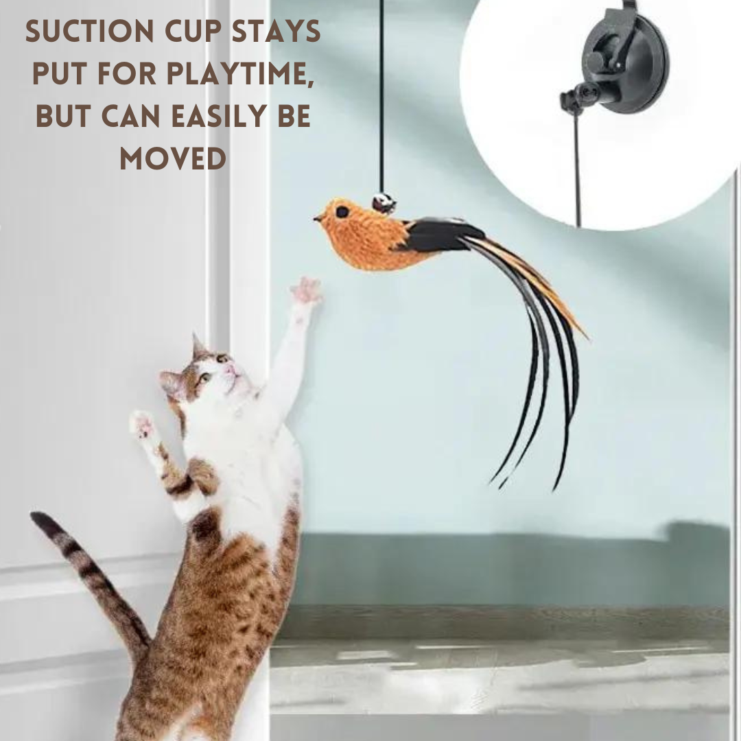 Cat Stalk & Play Stick